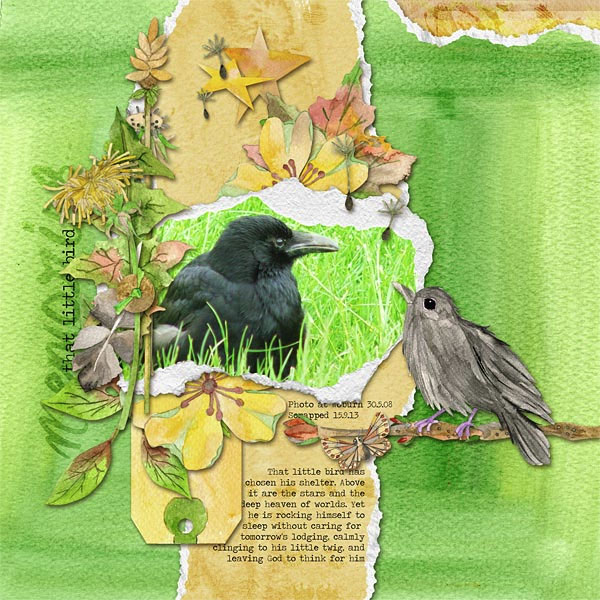 That Little Bird