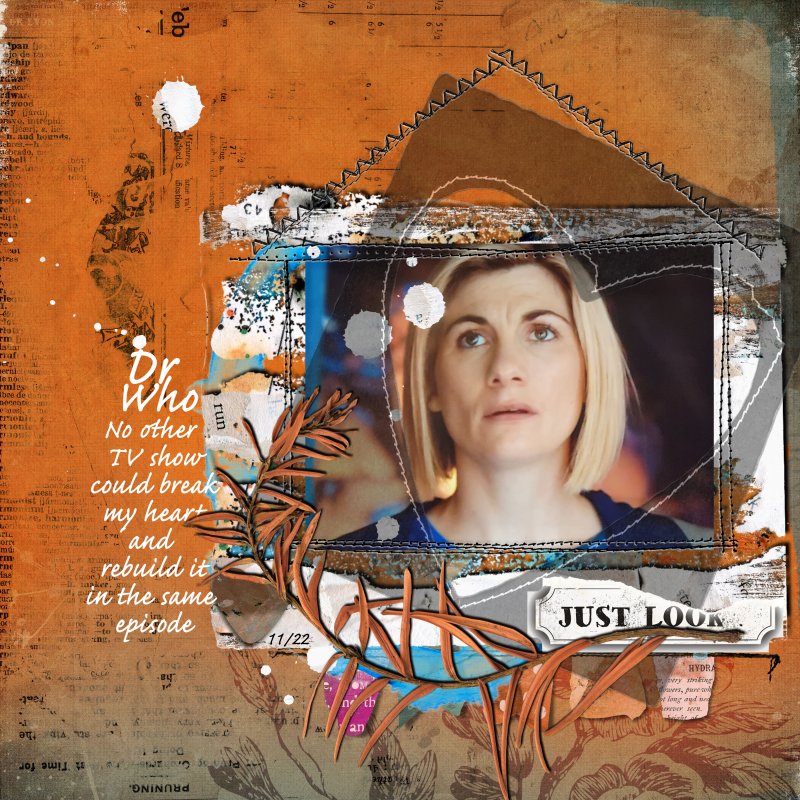 The 13th Doctor