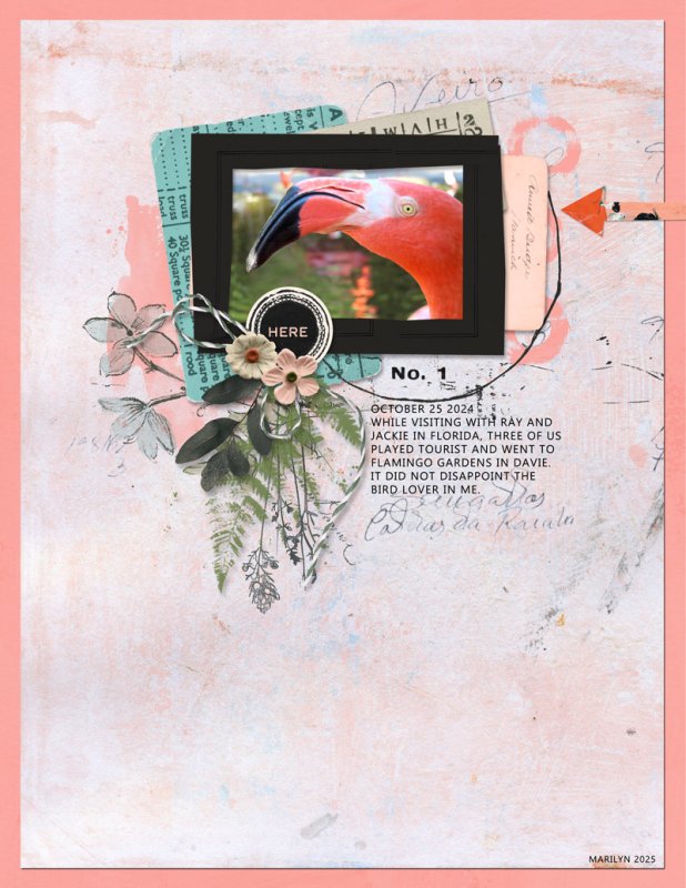The Assembles - Folio