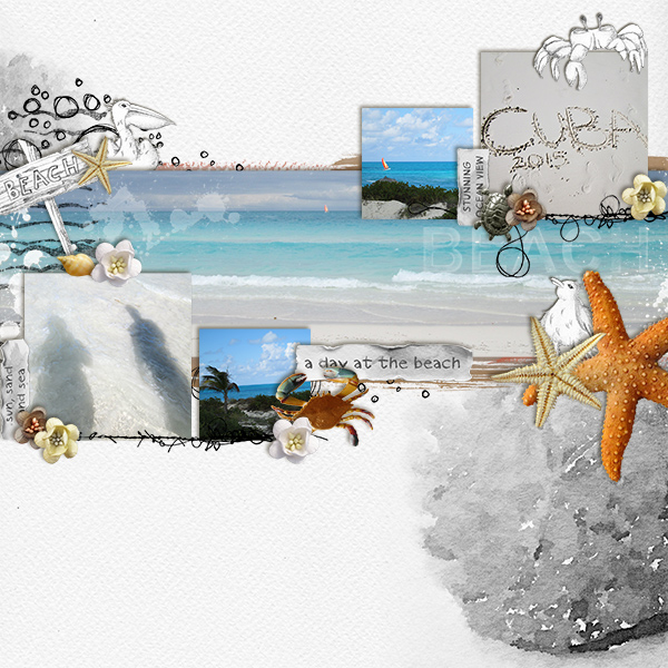 The Beach in Cuba
