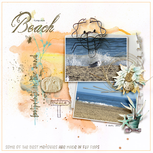 The Beach