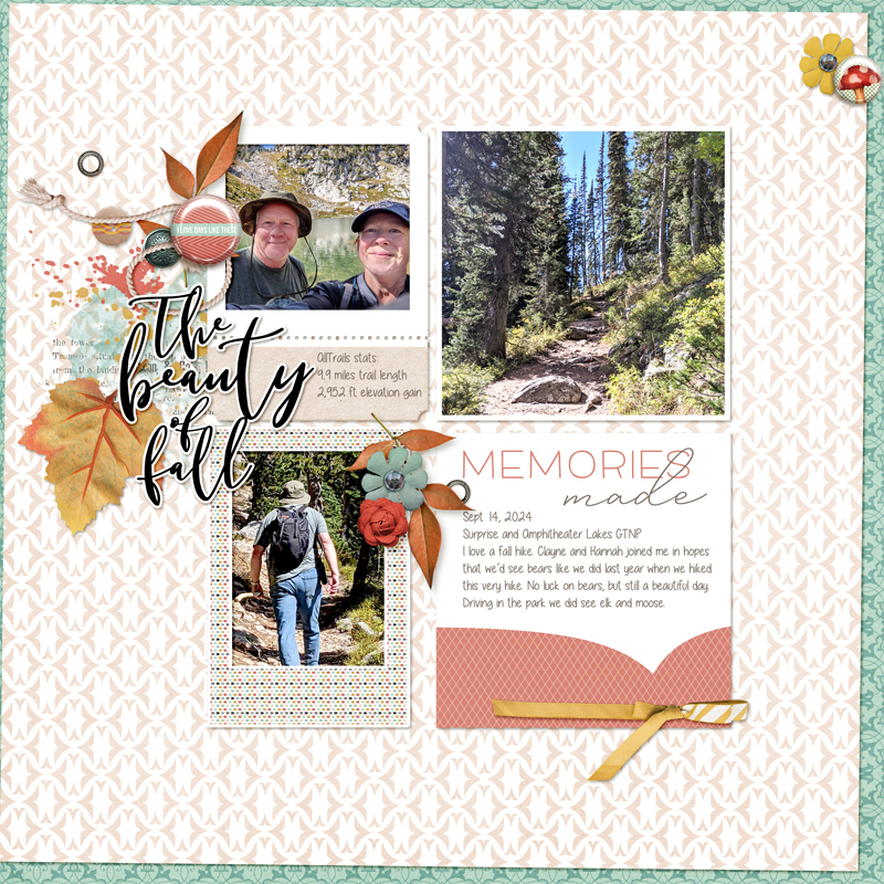 The-beauty-of-fall