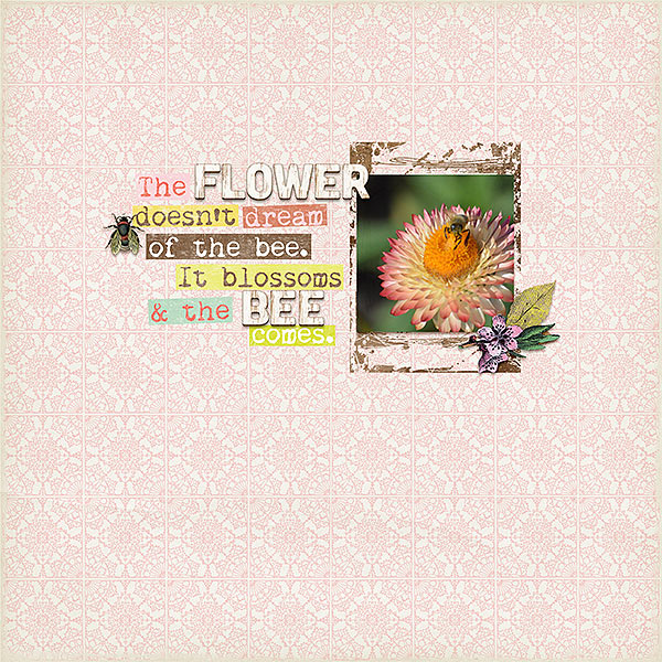 the bee comes