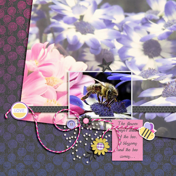 The Bee