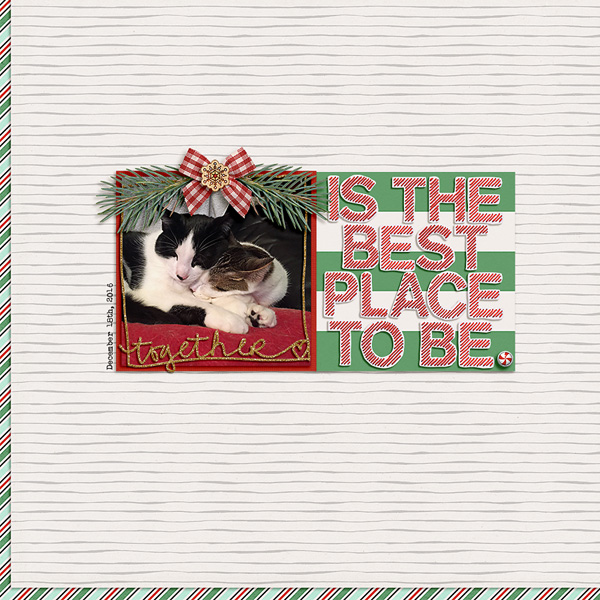 The Best place