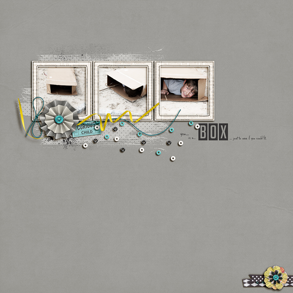The Box