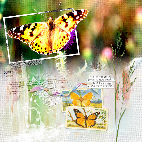 the butterfly counts no moments