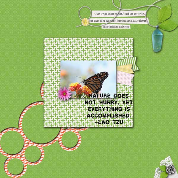 The Butterfly