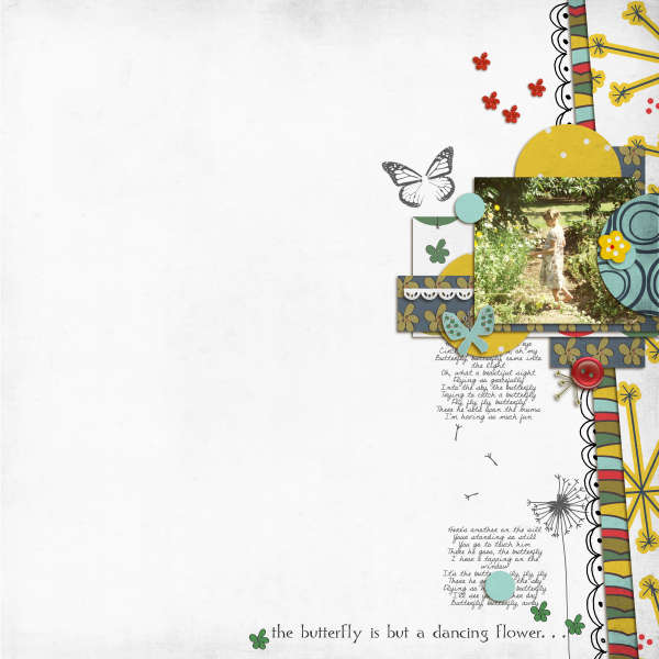 the butterfly