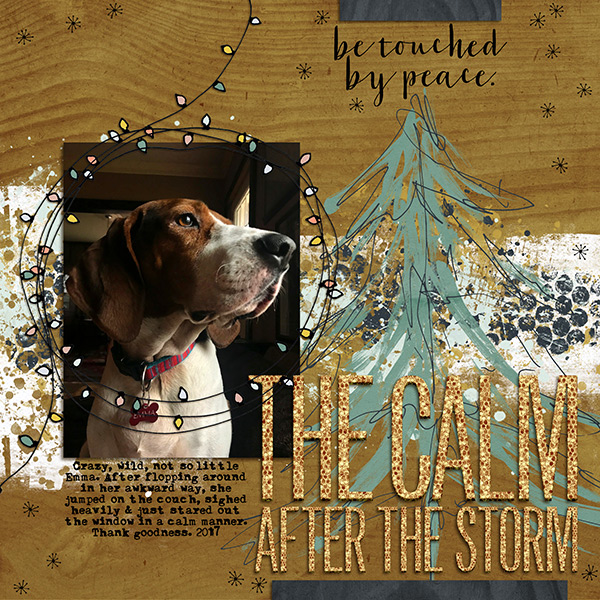 The Calm After the Storm