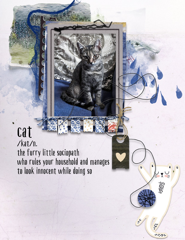 The Cat