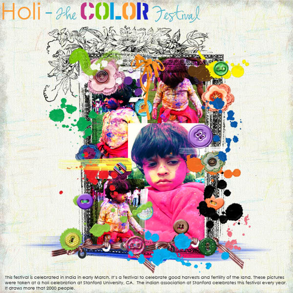 The Color Festival