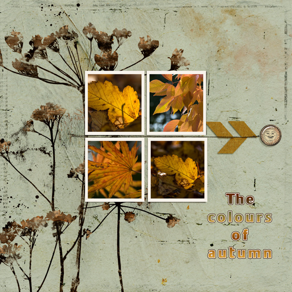 The colours of autumn