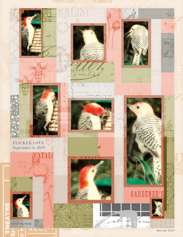 The-Committed-Crafter_2020-02_February_SOSN_0212_Print&Paint_DebiHappyPlace_web
