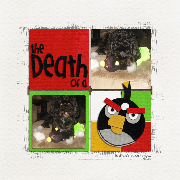 the death of an angry bird