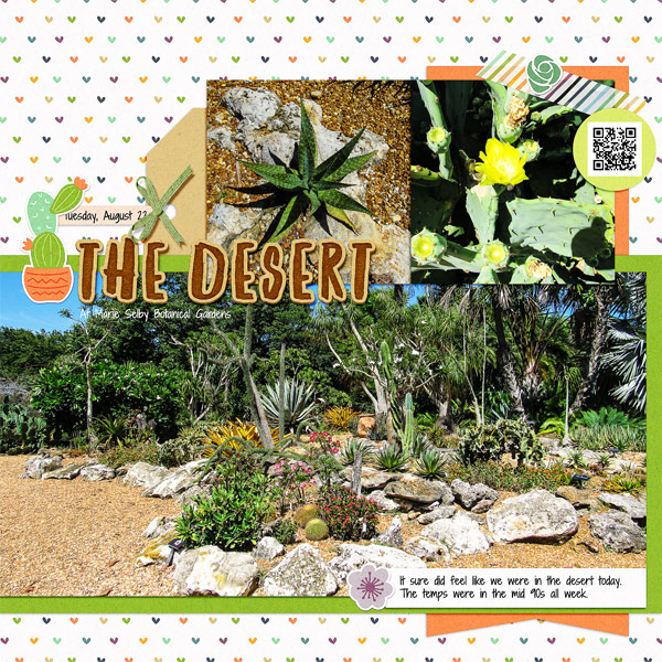 The Desert at Selby Gardens, left side