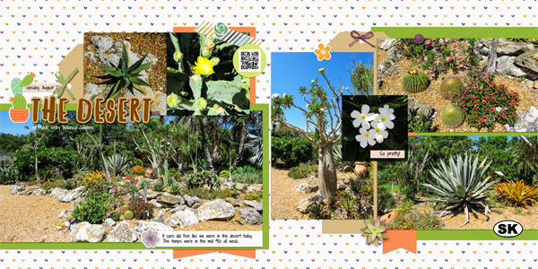 The Desert at Selby Gardens