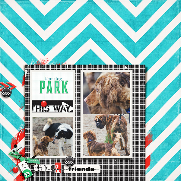 The Dog Park