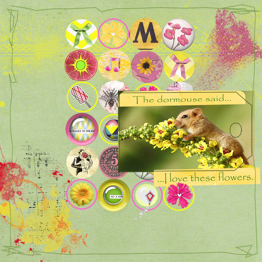 The Dormouse Said