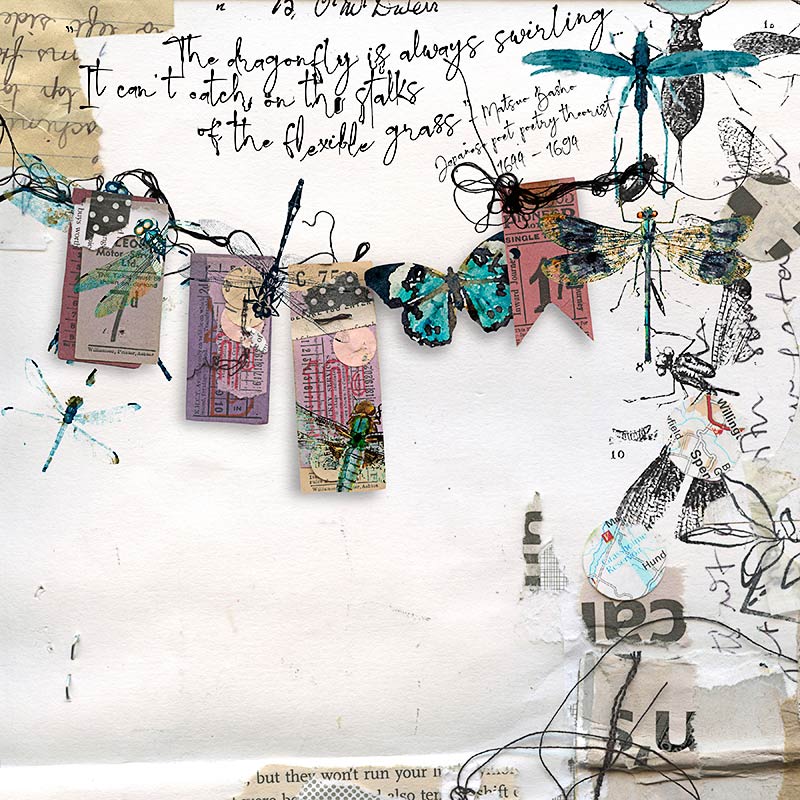 The-dragonfly-is-always-swirling