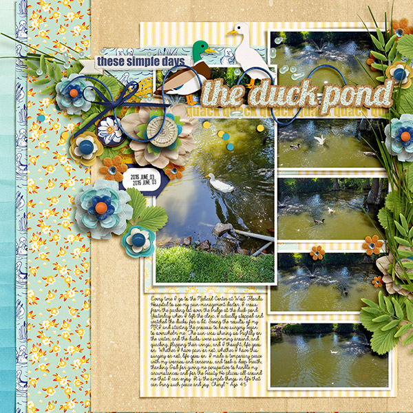 The Duck Pond