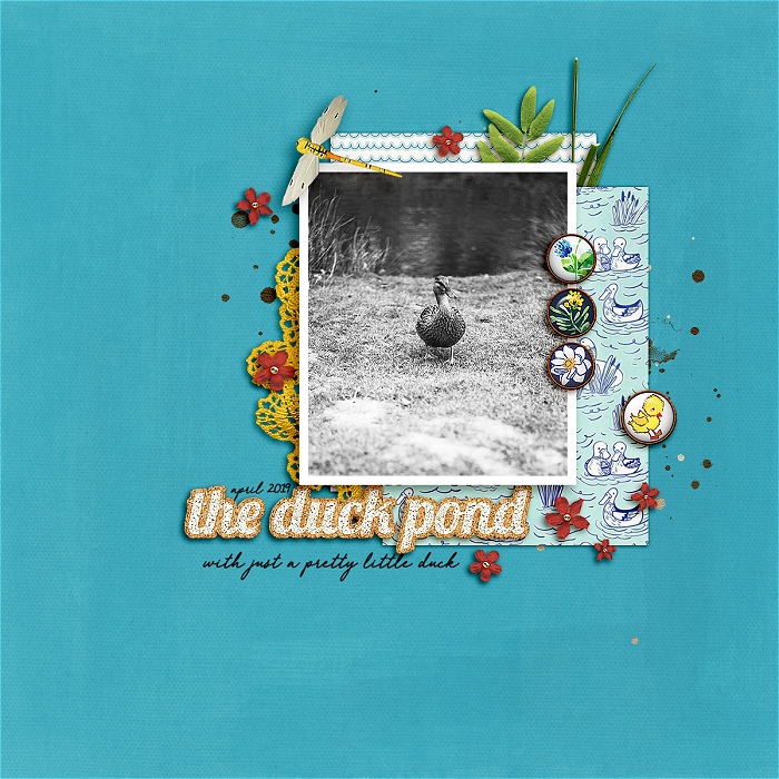 The Duck Pond