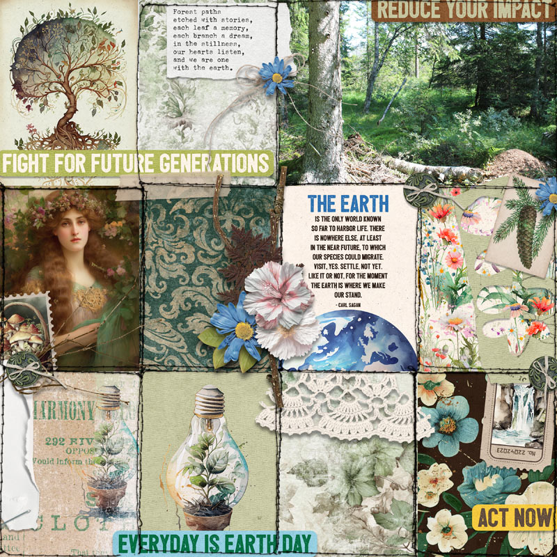 The Earth