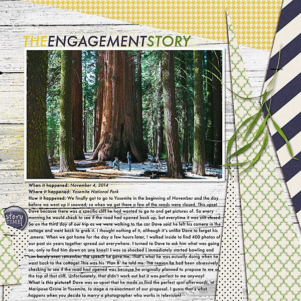 The Engagement Story