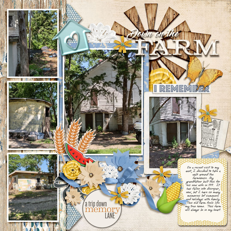 The-farm
