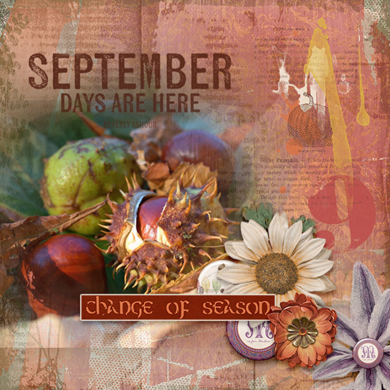 The-first-colors-of-fall-