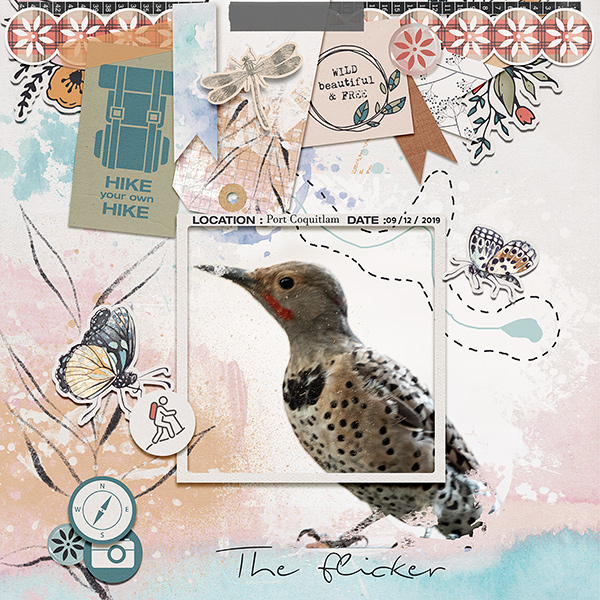 The Flicker