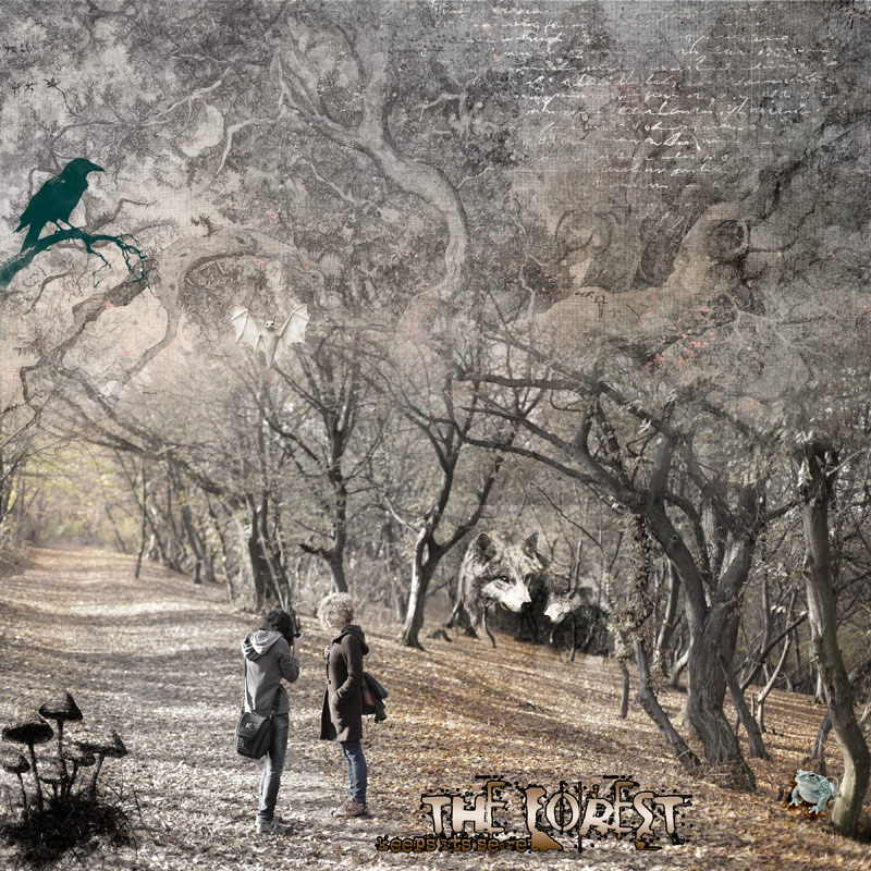 The Forest