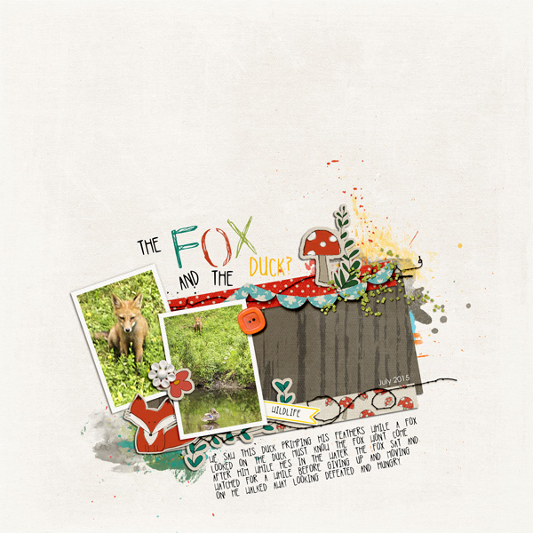 The Fox and the Duck
