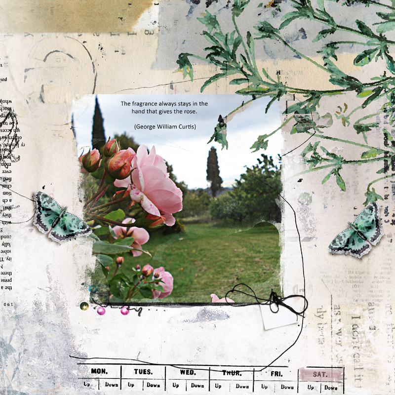 The fragrance