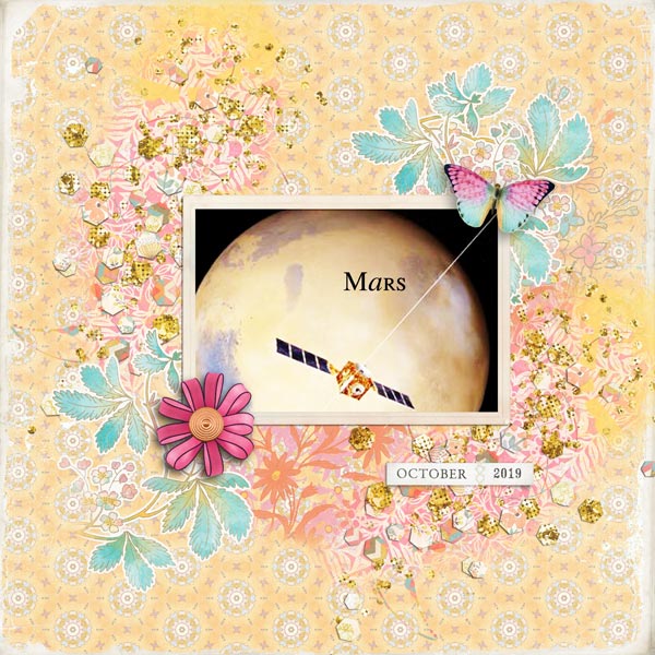 The Future
