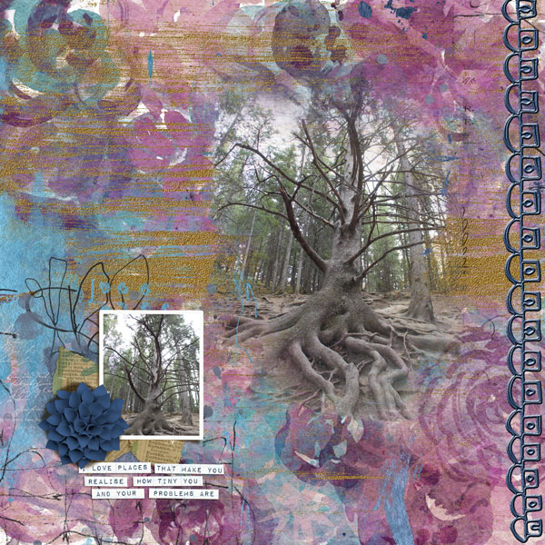 The Grandfather Tree