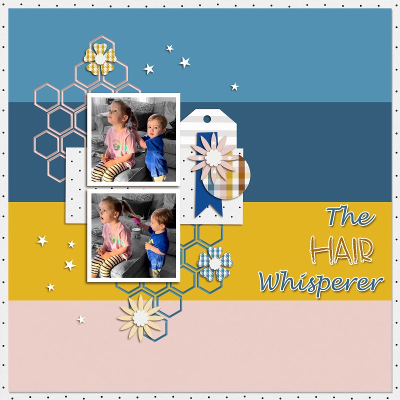 The Hair Whisperer - L & C 2021