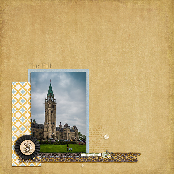 The Hill