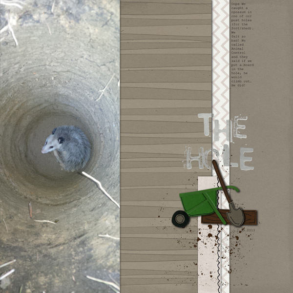 The Hole