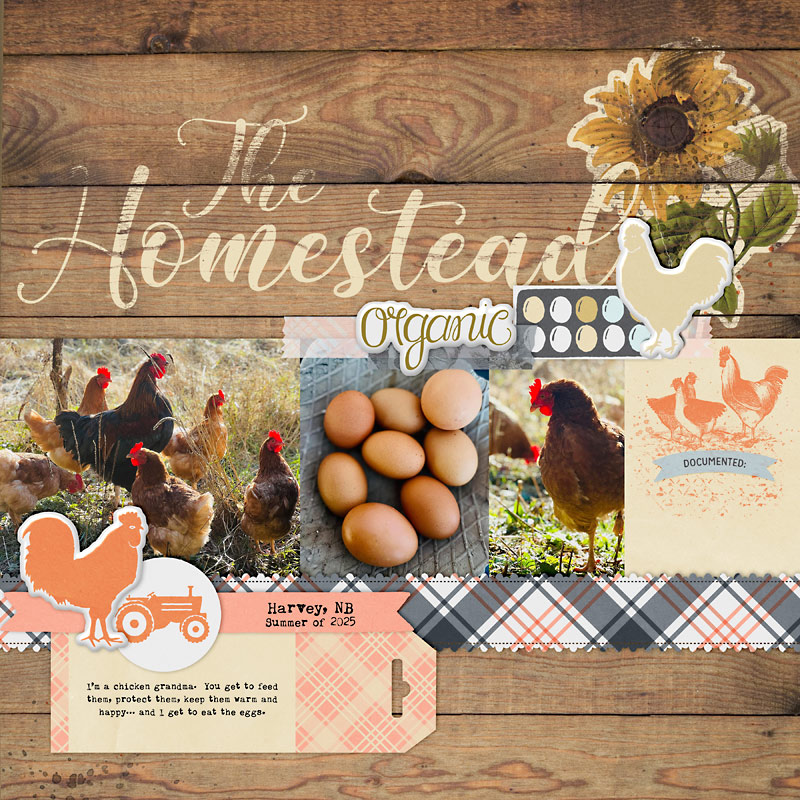 The Homestead