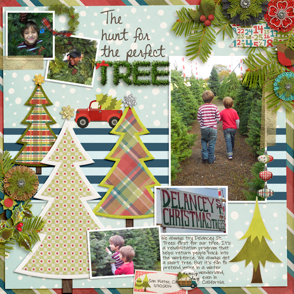 The Hunt for the Perfect Tree