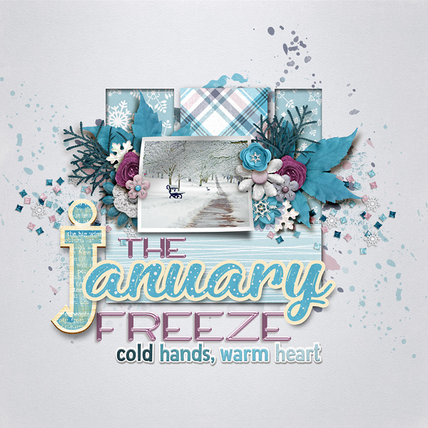 The January Freeze