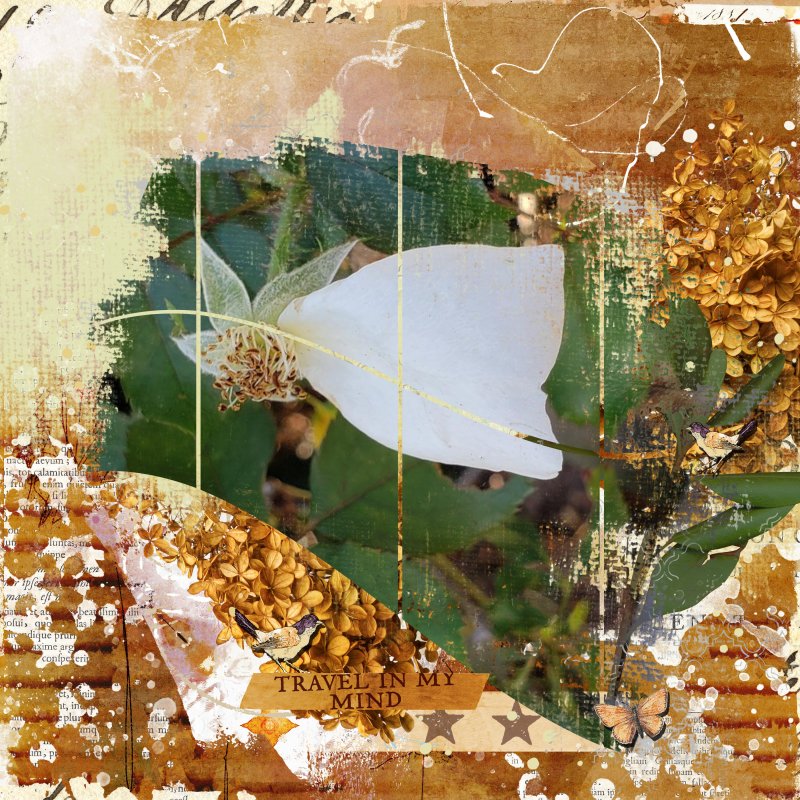 The Last Rose Of Winter 2020