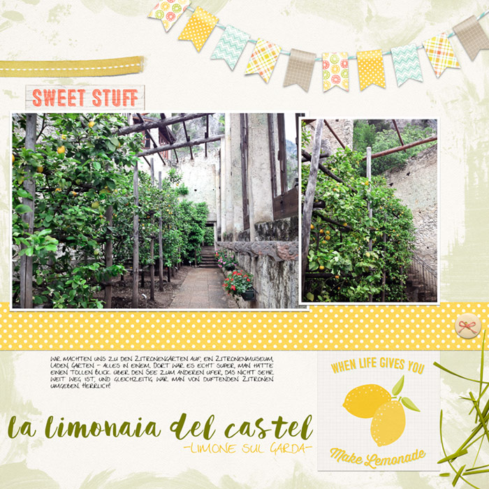 The lemon garden