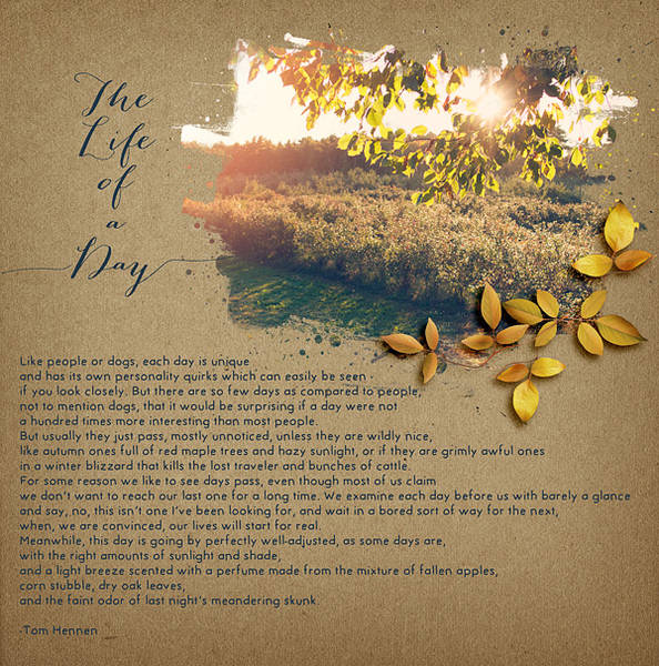 The Life of a Day