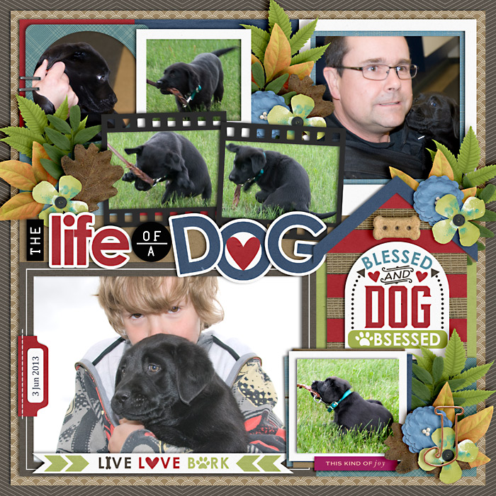 The Life of a Dog