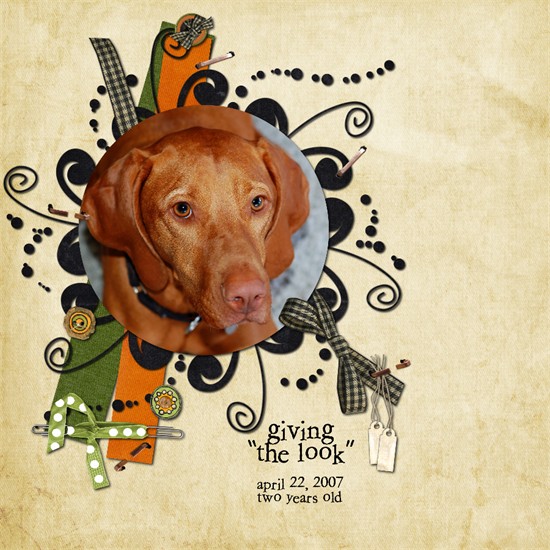 the look