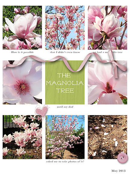 The Magnolia Tree
