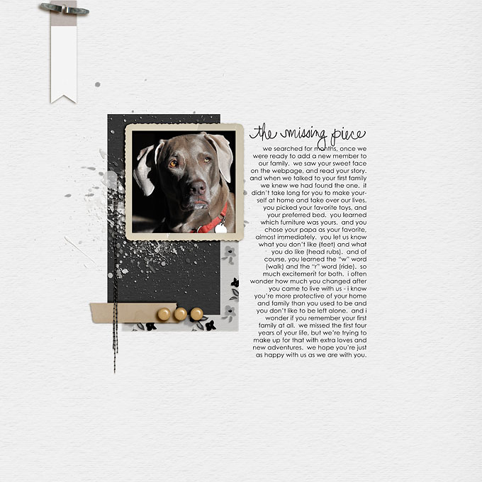 the missing piece