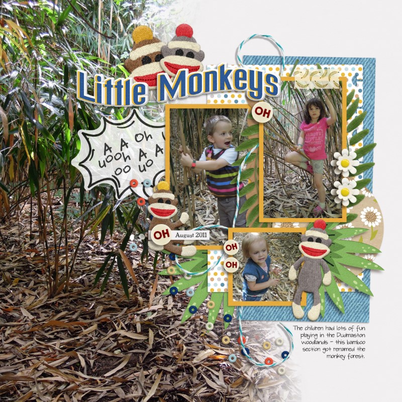 The Monkey Forest
